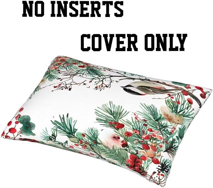 Outdoor Pillows Waterproof Set of 2 Outdoor Pillow Covers 16x24 Inch, Flower Throw Pillows Bird Pillow Covers, Summer Garden Decorative Pillows Outdoor Pillows for Patio Furniture Car Home Decor-hs180