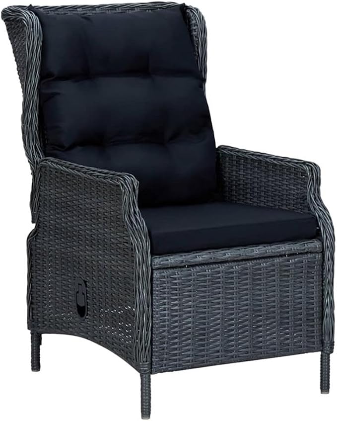 Afuera Living 9-Piece Outdoor Dining Set, Dark Gray PE Rattan, Weather-Resistant, Includes Rectangular Table and 8 Armchairs with Cushions, Contemporary Patio or Garden Furniture for Outdoor
