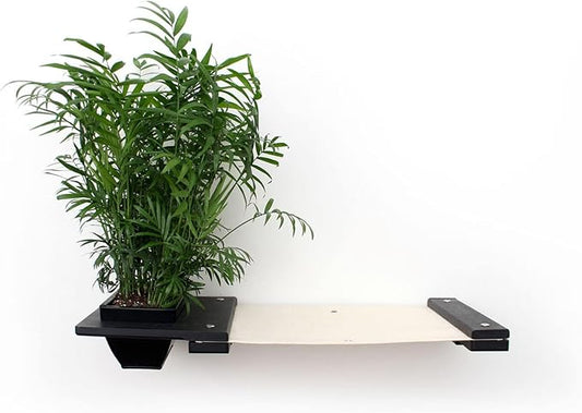 Catastrophic Creations Cat Planter Lounge Cat Hammock — 25-Inch Black/Natural Canvas— Cat Wall Shelf— Cat Wall Furniture — Cat Climbing Shelves — Cat Floating Shelves — Cat Wall Hammock