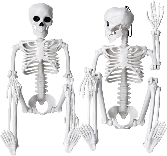 XIMISHOP 2pcs Skeleton Halloween Decoration, 16” Full Body Posable Hanging Plastic Decoration with Movable Joints for Indoor Outdoor
