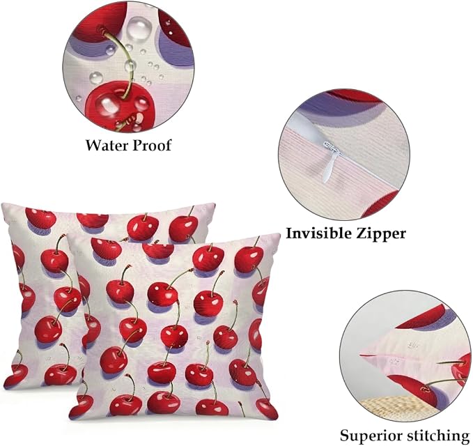 22x22 Inch Outdoor Pillow Covers Set of 2 Waterproof Throw Pillow Covers Decorative Couch Cushion Covers Red Cherry Fruit Square Pillowcases Protectors for Patio Garden Sofa