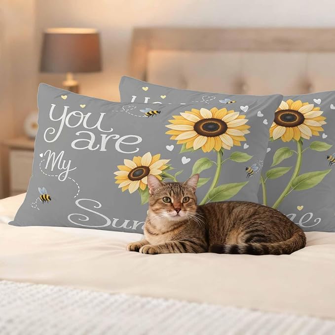Outdoor Pillow Covers Letters You are My Sunshine Decorative Throw Pillow Covers, Pastoral Sunflowers on Gray Throw Cushion Case with Zipper for Patio,Couch,Sofa,Garden 20x12in Set of 2
