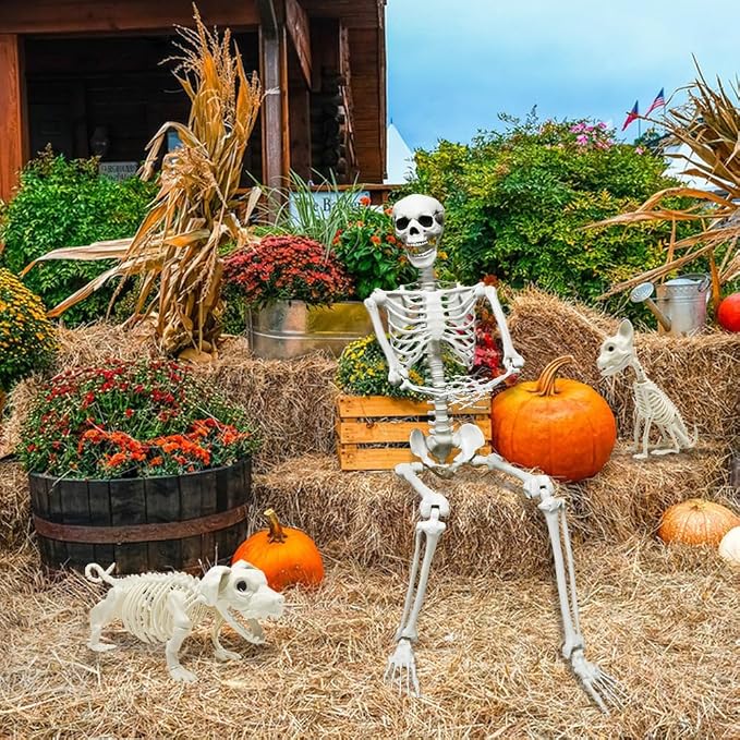 5.4ft Halloween Full Size Skeleton with Dog Cat for Haunted Party Decor | Life Like Posable Skeleton Realistic Human Plastic Bones with Animals Skeleton for Halloween Party Lawn Haunted House Decor