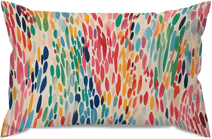 Make It Rain Fiesta Lumbar Pillow Cover Rainbow Colorful Cushion Cases 12x20in Abstract Accent Modern Decorative Pillow Covers for for Living Room Couch Sofa Bed