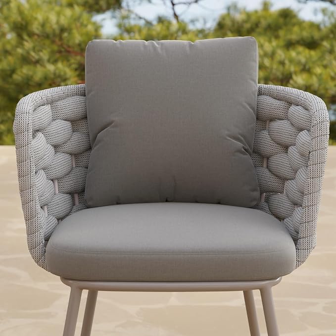LOVEDIMA Outdoor Dining Chairs Set of 2, Aluminum Patio Dining Chairs with Armrests, Handwoven Wicker Rattan Patio Chairs, Weather Resistant Outdoor Chairs for Patio Garden Balcony Deck