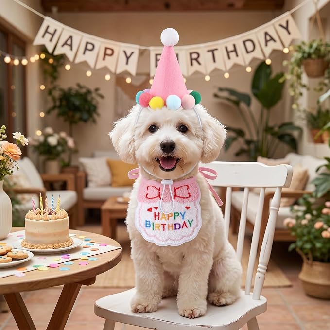 Jmkcoz Birthday Porch Goose Outfits Lawn Goose Statue Costume with Party Hat Bandana for 23" 17" Cement Plastic Statue Patio Yard Garden Outdoor Decor (Pink)