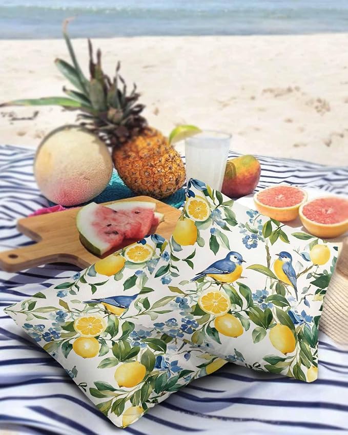 Outdoor Throw Pillow Covers Waterproof Pillow Cases 24x24In, Watercolor Lemon Bird Decorative Pillow Covers Cushion Cases for Couch Sofa Patio Garden,2 Pack Vintage Spring Blue Flower Foliage