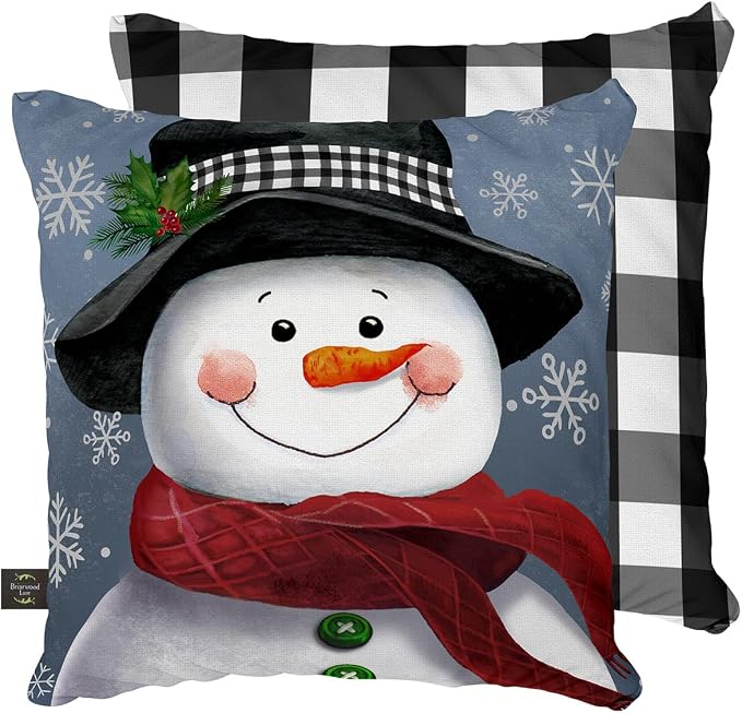Briarwood Lane Winter Indoor/Outdoor Pillow 17x17 Smiling Snowman for Winter Pillow
