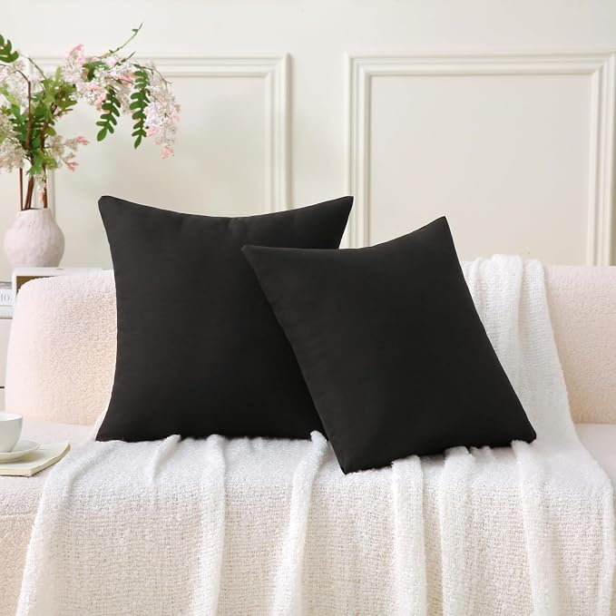 Outdoor Throw Pillows with Inserts, Waterproof Pillows for Outdoor Seating, Square Decorative Garden Cushion for Patio Furniture, Bed, Couch, Sofa(Black, 24" x 24" (Pack of 2))
