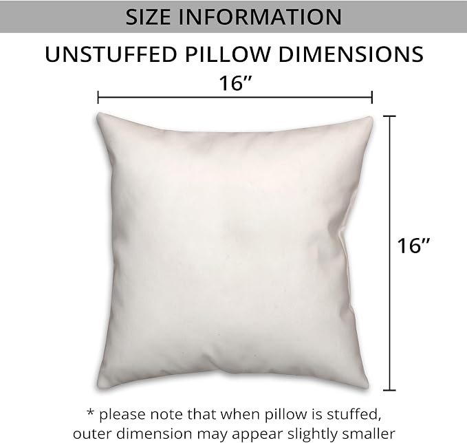 Front Porch Sittin' White and Black Indoor/Outdoor Pillow | Decorative Pillows for Living Room Couch Bed Sofa Patio, Fluffy Soft Cushion | Water Resistant Black, 16x16