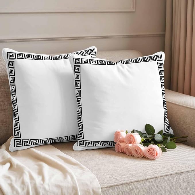 Outdoor Pillow Covers Set of 2, Abstract Inspired Greek Key Pattern Decorative Throw Pillow Covers 16X16IN, Geometric Twist Line on White Throw Pillows Protector Cushion Case for Patio,Couch,Sofa