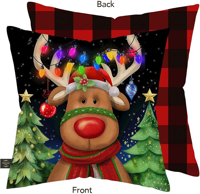 Briarwood Lane Christmas Indoor/Outdoor Pillow 17x17 Festive Reindeer for Christmas Pillow