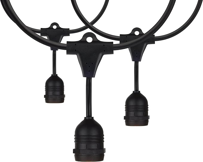 Satco S8039 Incandescent Indoor/Outdoor String Lights, Black, Bulbs Not Included, 24 Feet (Pack of 1)