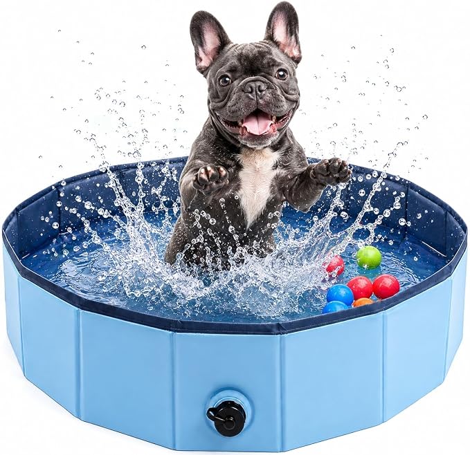 Eooqi Foldable Plastic Dog Pool, Collapsible Pet Bath Tub & Wading Pool, Portable Hard-Side Dog Swimming Pool for Outdoor & Backyard Use, Puppies, Small & Medium Dogs, Cats and Kids (Blus, 32"-S)