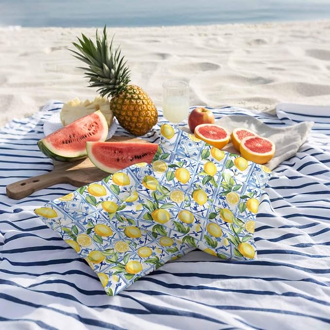Outdoor Waterproof Pillow Covers Lemon Fruit Pack of 2 Lumbar Pillow Cover Leaves Blue Decorative Cushion Pillowcases for Patio Couch Bench Garden 16 x 16 Inches