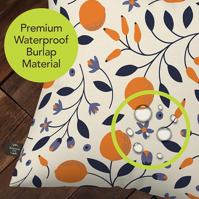 Briarwood Lane Everday Indoor/Outdoor Pillow 17x17 Citrus and Vines for Everday Pillow