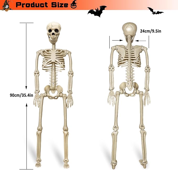 2 Pack 36"Halloween Skeleton - 3 ft Life Size Human Skeleton with Full Body Posable Joints Plastic Skeleton for Halloween Skeletons Decor Yard Patio Lawn Garden Skeleton Props Spooky Party Decoration