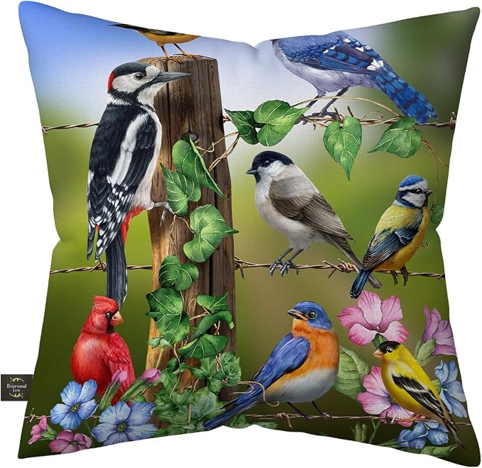 Briarwood Lane Spring Indoor/Outdoor Pillow 17x17 Country Birds for Spring Pillow