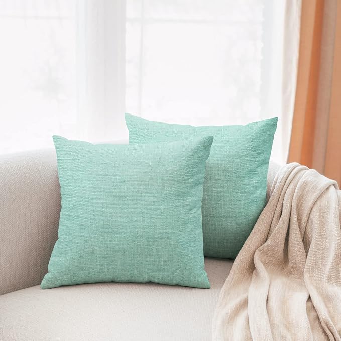 All Smiles Aqua 20x20 Throw Pillow Covers Cases for Couch Sofa Home Decoration Set of 2 Outdoor Farmhouse Patio Pillowcases