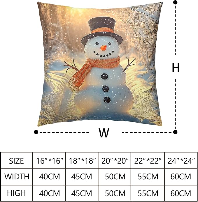 Winter Pillow Covers Snowman in The Sunshine Throw Pillow Covers 20x20 Snowflakes Pillow Case Double Sided Printing Cushion Case for Home Decor Couch Sofa Set of 2
