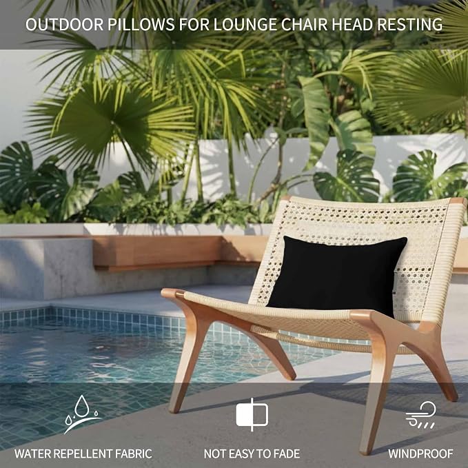 Black Outdoor Lumbar Pillows 11x16 Set of 2, Farmhouse Solid Black Color Modern Art Waterproof Throw Pillow Covers with Insert, Decorative Pillowcase Cushion for Couch Sofa Bed