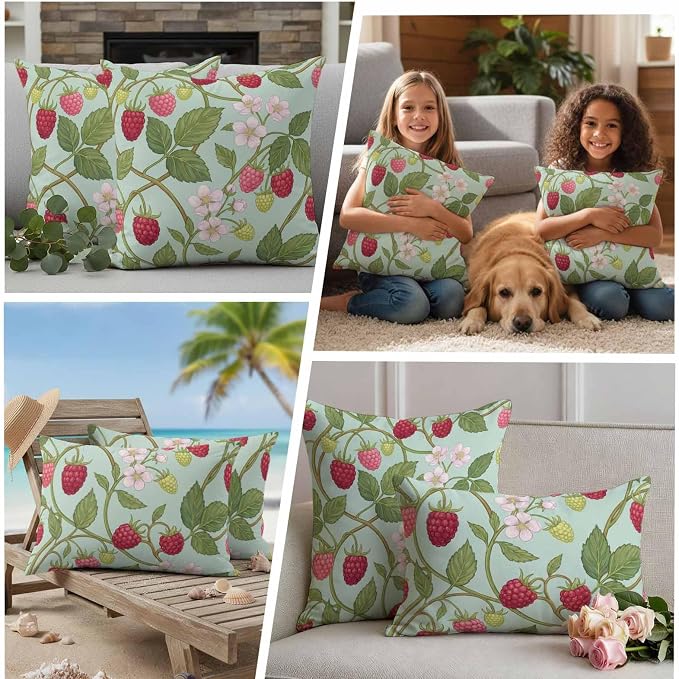 Raspberry Leaves Outdoor Pillow Covers 18"x18" Set of 2, Watercolor Red Pink Fruit Floral Mint Green Waterproof Throw Pillow Covers for Patio Furniture, Decorative Cushion Covers for Porch