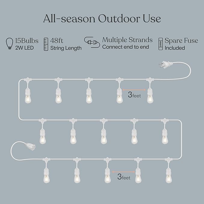 Brightech Ambience Pro Waterproof LED Outdoor String Lights, 48 Ft, Hanging, Dimmable Vintage Edison Bulbs, 15 Bulbs, 2W | Plug-in Outdoor String Lights, Waterproof Patio Lights, 15 Shatterproof LED Edison Bulbs for Backyard, 2W Soft White, White