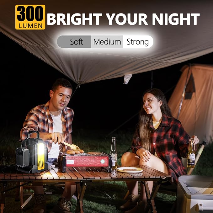 350W Portable Power Supply Inverter Power Adapter Compatible with Dewalt 20V Li-ion Battery, DC 20V to AC 120V Converter with AC Output, USB Port, Type-C Port, 300LM LED Light for Camping Emergency