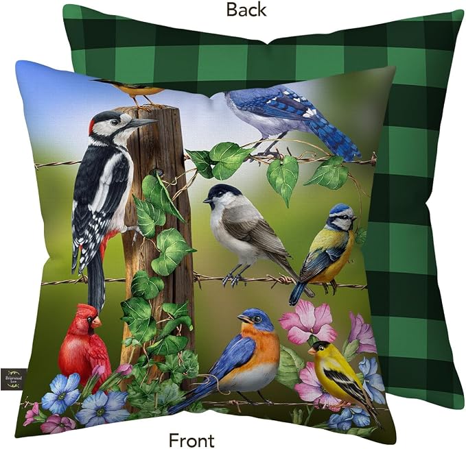 Briarwood Lane Spring Indoor/Outdoor Pillow 17x17 Country Birds for Spring Pillow