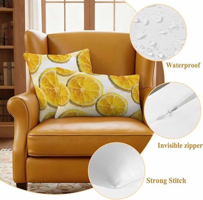 Yukro Lemon Slices Outdoor Waterproof Pillow Covers Pack of 2, Fruit Summer Tangerine Throw Pillowcases Decorative Cushion Covers for Garden Patio Tent Sofa Couch, 16x16 inch
