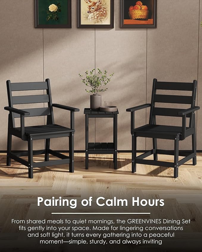 GREENVINES Patio-Chair | Outdoor Dining Chairs Set of 2 | HDPE Plastic | Removable Armrests | All Weather | for Backyard Deck Poolside Garden | Black