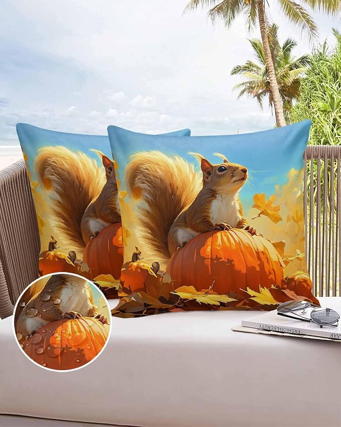Outdoor Waterproof Throw Pillow Covers 24x24in, Fall Autumn Harvest Squirrels Cushions for Garden Patio Furniture Chairs Set of 2, Pumpkins Maple Leaves Home Decor Couch Sofa Polyester Pillow Cases