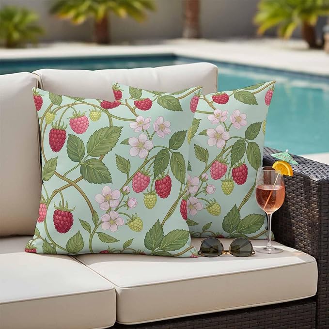Raspberry Leaves Outdoor Pillow Covers 18"x18" Set of 2, Watercolor Red Pink Fruit Floral Mint Green Waterproof Throw Pillow Covers for Patio Furniture, Decorative Cushion Covers for Porch
