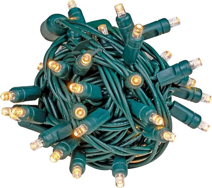 Novelty Lights 50ft 100 LED Sun Warm White Christmas Lights Outdoor/Indoor, 6" Spacing, Green Wire String Lights for Festive Xmas Lighting, IP55, UL Listed, Dimmable, Connectable