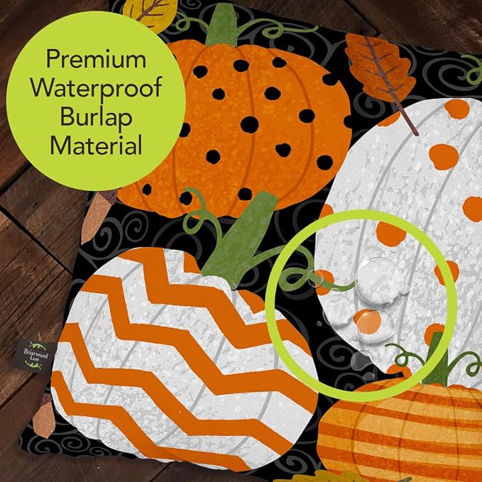 Briarwood Lane Fall Indoor/Outdoor Pillow 17x17 Fall Celebration Pumpkins for Fall Pillow