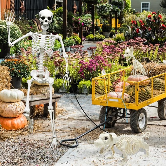 5.4ft Halloween Full Size Skeleton with Dog Cat for Haunted Party Decor | Life Like Posable Skeleton Realistic Human Plastic Bones with Animals Skeleton for Halloween Party Lawn Haunted House Decor