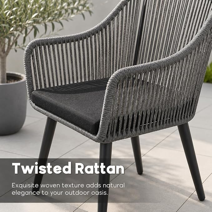 Patiorama 9-Piece Outdoor Patio Dining Set, Patio Dining Table Chair Set for 8, Patio Wicker Dining Furniture Set with 76'' Aluminum Rectangular Dining Table & Twisted Rattan Chairs for Garden, Grey