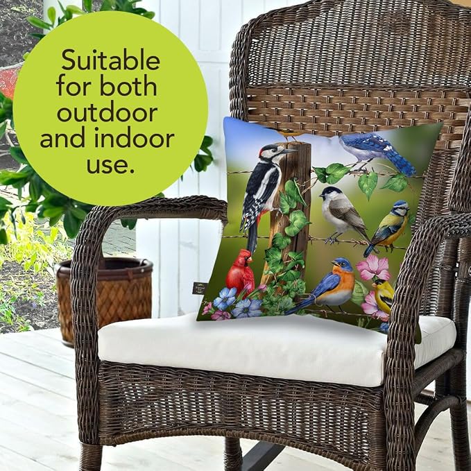 Briarwood Lane Spring Indoor/Outdoor Pillow 17x17 Country Birds for Spring Pillow
