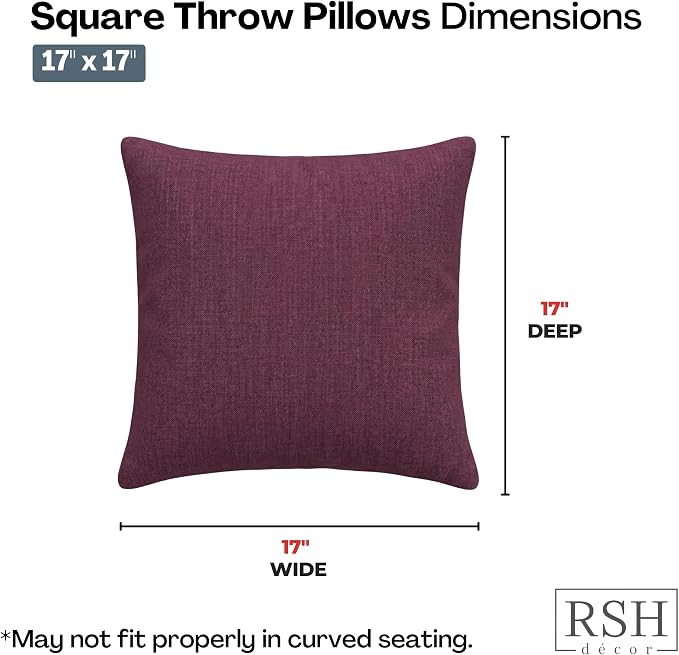 RSH DECOR Square Throw Pillows Set of 2, 17" x 17", Outdoor Pillows Waterproof, Outdoor Pillow Covers, Pillow Covers for Couch, Canvas Iris, Made in USA