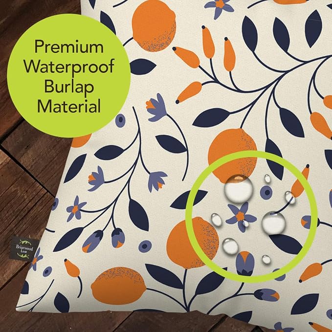 Briarwood Lane Everday Indoor/Outdoor Pillow 17x17 Citrus and Vines for Everday Pillow