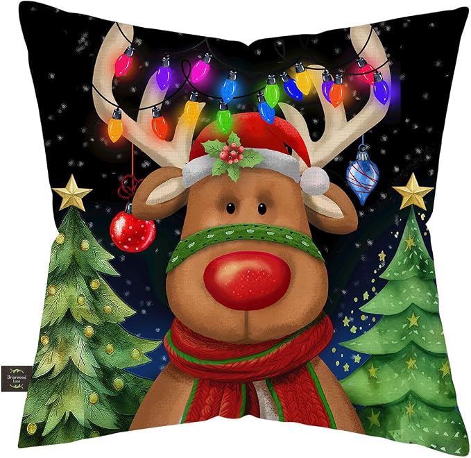 Briarwood Lane Christmas Indoor/Outdoor Pillow 17x17 Festive Reindeer for Christmas Pillow