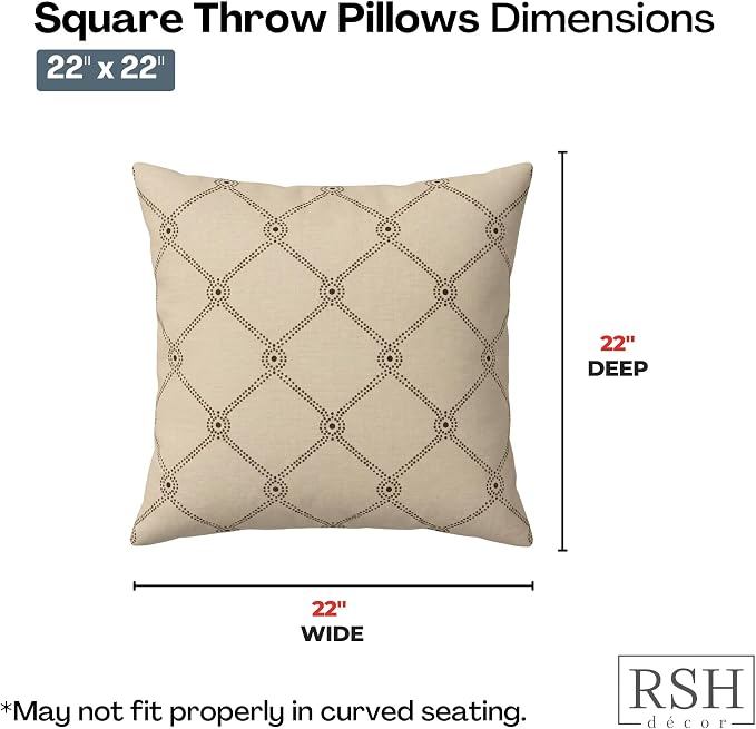 RSH DECOR: Sunbrella Square Throw Pillows Set of 2 | 22" x 22" | Water and Fade-Resistant Performance Fabric | Outdoor Pillow Covers with Down-Alternative Inserts | Made in USA (Arabia)