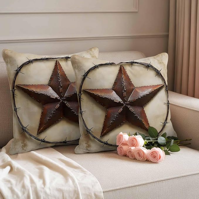 Country Star Retro Waterproof Outdoor Pillow Covers Set of 2 Home Decor, Farmhouse Western Aesthetic Art Pillowcase Patio Pillow Covers for Couch Bench Furniture Garden 18x18in