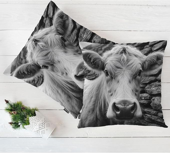 Swono Highland Cattle Pillow Covers, Farm Animal Cow Cattle Decorative Pillow Case Home Sofa Cushion Set, Pillow Cushion Cases for Bed/Patio/Garden/Balcony, 2-Pack 18x18 Inch, Black White