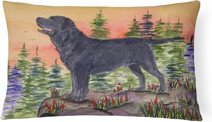 Caroline's Treasures SS8624PW1216 Labrador Canvas Fabric Decorative Pillow Machine Washable, Indoor Outdoor Decorative Pillow for Couch, Bed or Patio, 12HX16W