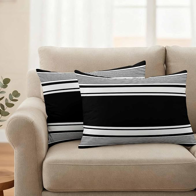 Outdoor Waterproof Throw Pillow Covers, Black Striped Decorative Pillow Cases, Modern Color Block Farmhouse Stripes Couch Pillow Protector Patio Sofa Cushion Covers Replacement 20"x12" 2 Pack
