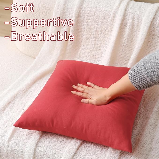 16 x 16 Inch Throw Pillow for Outdoor Seating, Waterproof Lumbar Pillows with Insert, Square Decorative Garden Cushion for Couch Patio Sofa Home Furniture (Red, 16" x 16" (Pack of 2))