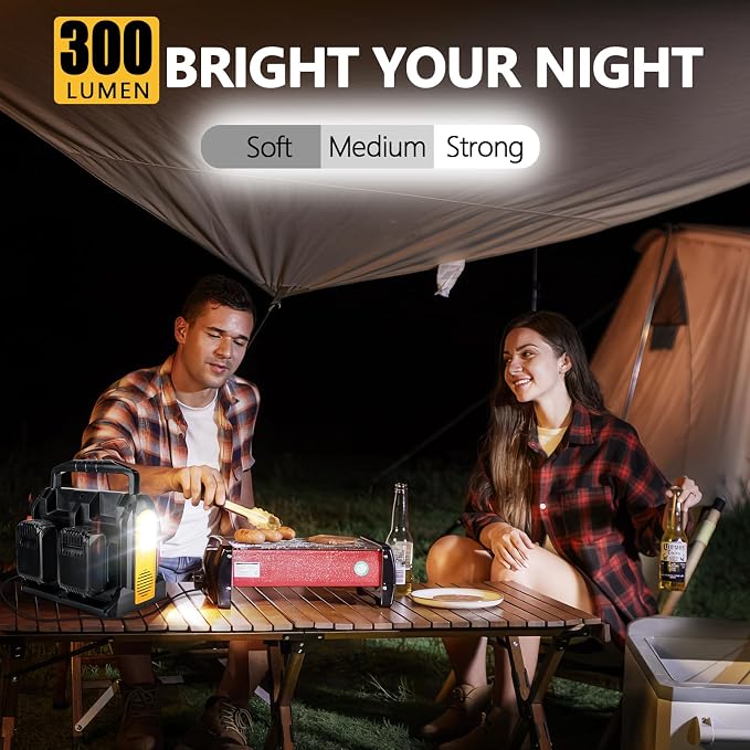 350W Portable Power Supply Inverter Compatible with Dewalt 20V Li-ion Battery, 4 Port Pure Sine Wave Inverter DC 20V to AC 120V with AC Output, USB Port, Type-C Port, 300LM LED Light Emergency