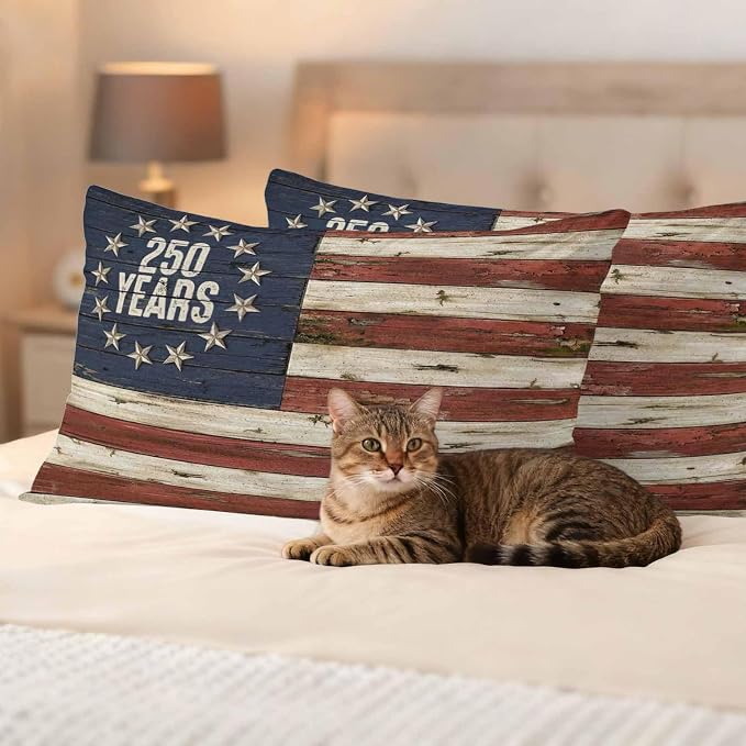 250 Year Anniversary USA 4th of July Vintage Wood Decorative Garden Pillowcase with Zipper Cushion Case for Patio Couch Tent