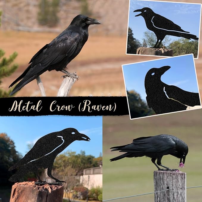 OULYDEKO Raven Decor,Metal Birds Black Bird Crow Statue,Raven Statue Fence Topper Fake Crow,Crow Decor Garden Ornament Fence Topper Gothic Home,Crow Decor,Witchy Garden Decor,Halloween Decorations